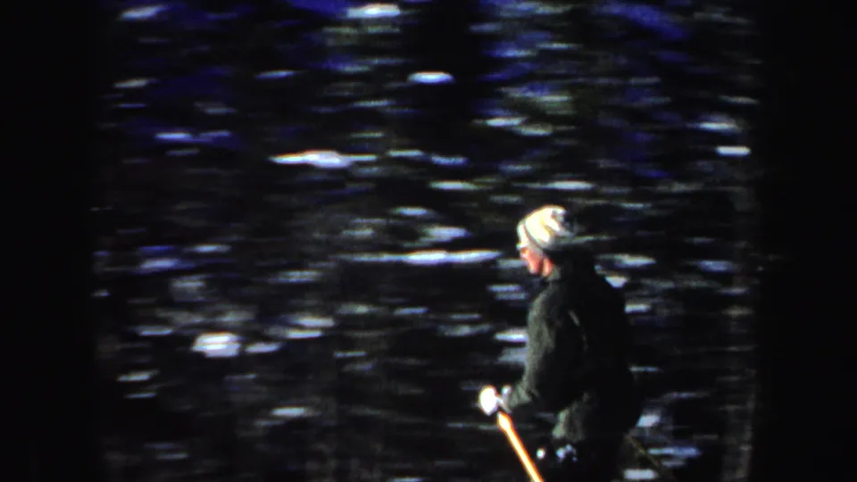 The skier appears in side view wearing a striped knit hat and dark coat, moving along the edge of a snowy wooded area in New Hampshire.