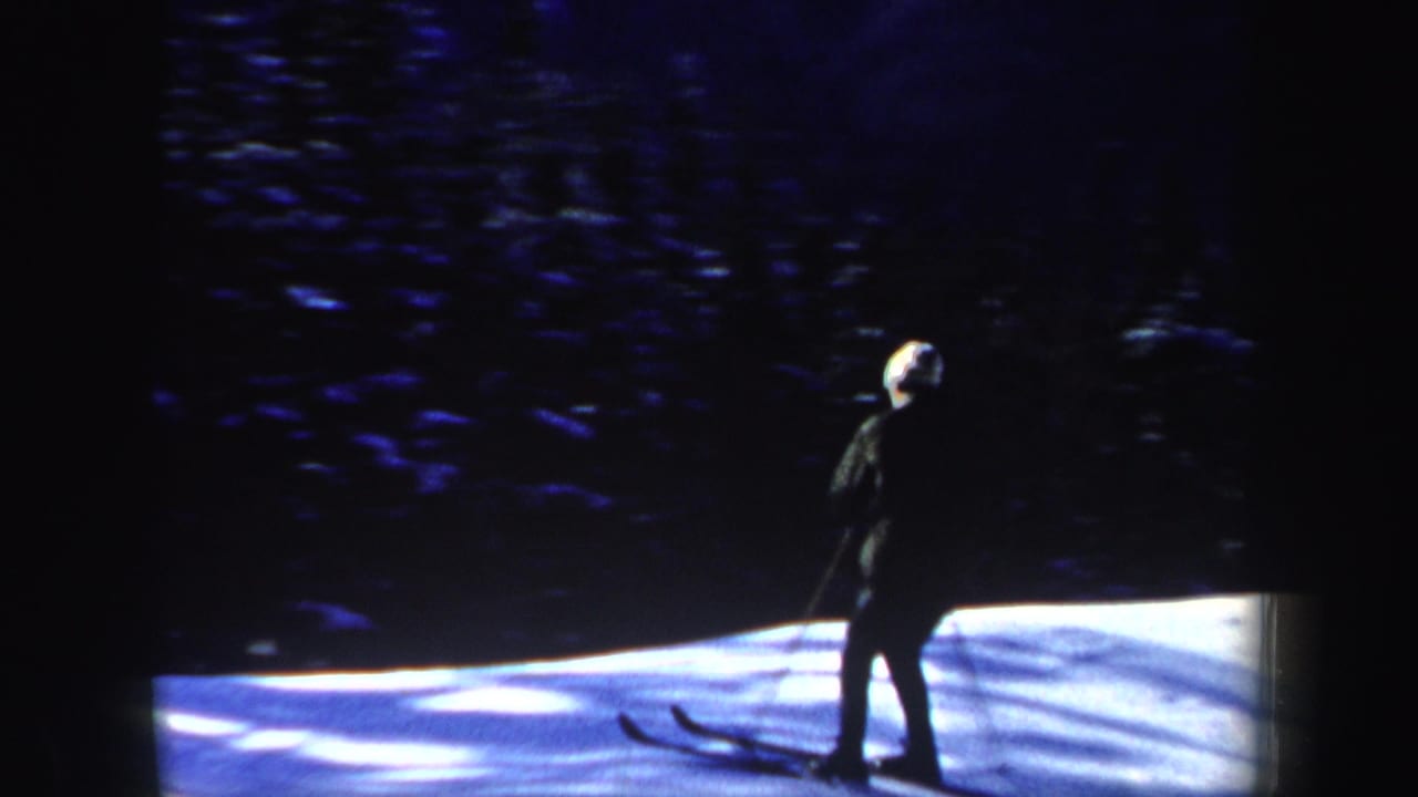 A skier in dark clothing is seen near the edge of a sunlit snowy slope, with deep blue shadows and trees behind them.