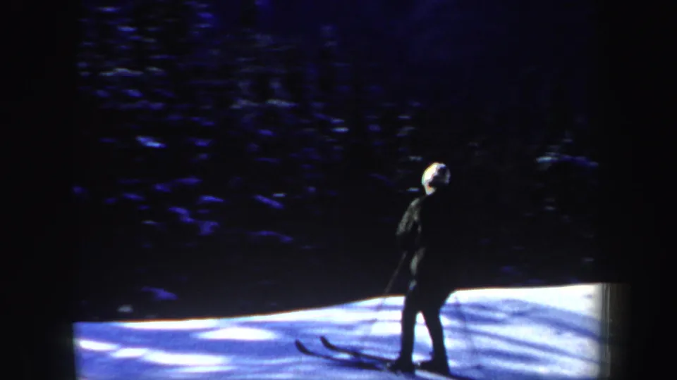 A skier in dark clothing is seen near the edge of a sunlit snowy slope, with deep blue shadows and trees behind them.
