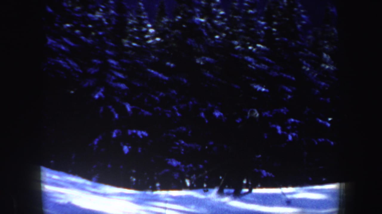 Snowy forest slope with dark evergreen trees and no visible skier in this frame.