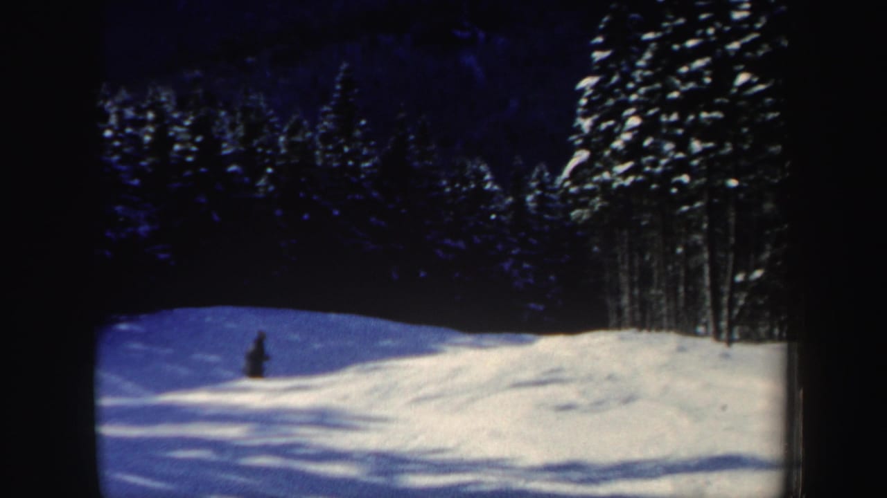 Snowy ski slope bordered by dark evergreen trees with a distant skier near the left side.