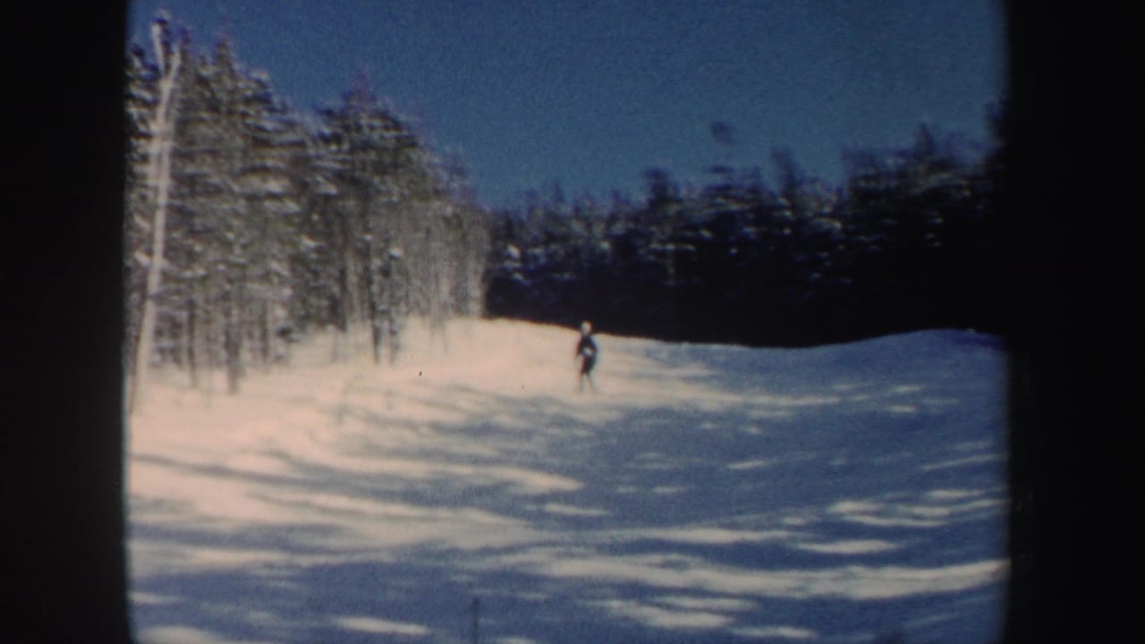 Distant skier on a snowy slope bordered by trees under a blue sky.