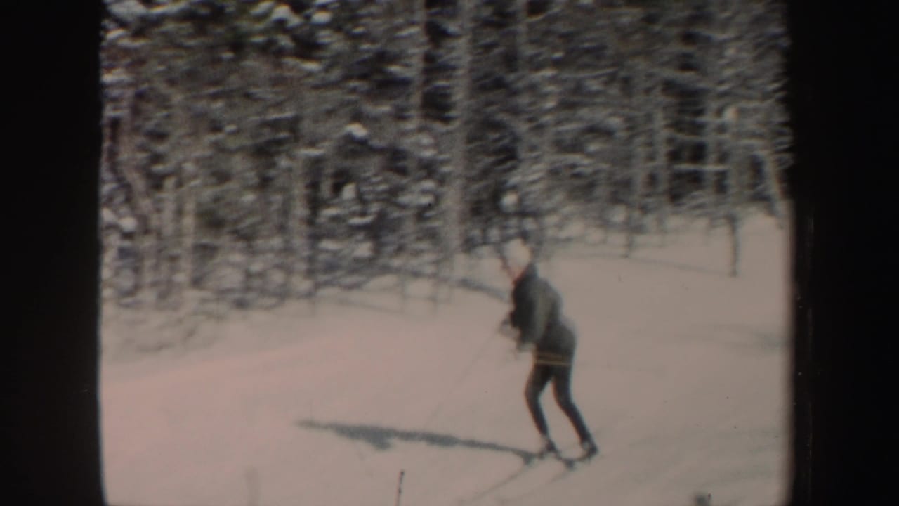 Skier in dark clothing moves across a snowy forest slope.