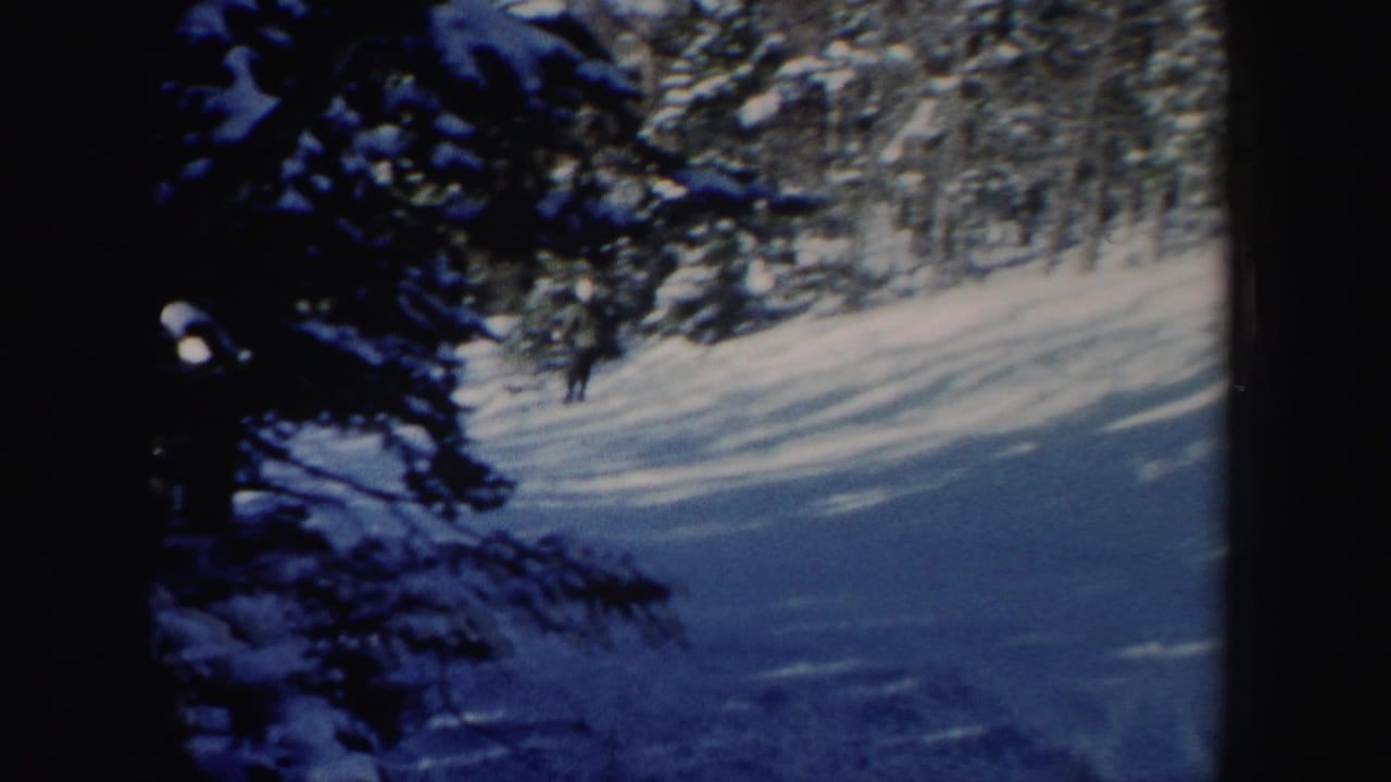 A distant skier crosses a snowy forest slope partly obscured by evergreen branches in 1962 New Hampshire footage.