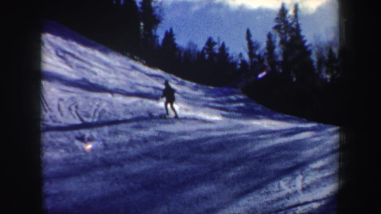 Distant skier descends a snowy slope bordered by dark trees.