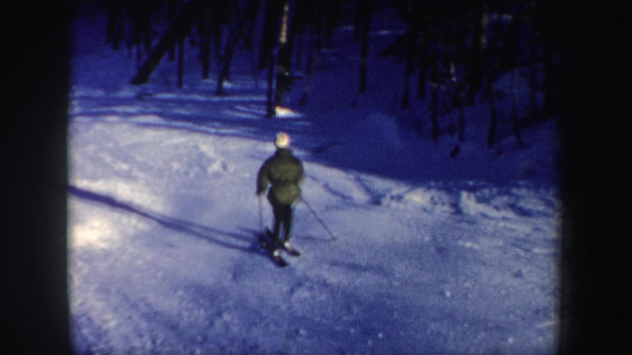 Skier in a dark jacket and light hat moving down a snowy wooded slope.