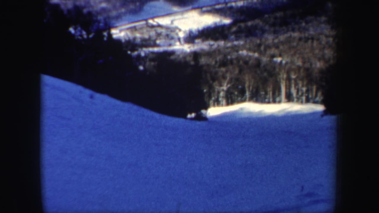 Snow-covered hillside with a dark tree line and bright winter sky at the top of the frame.