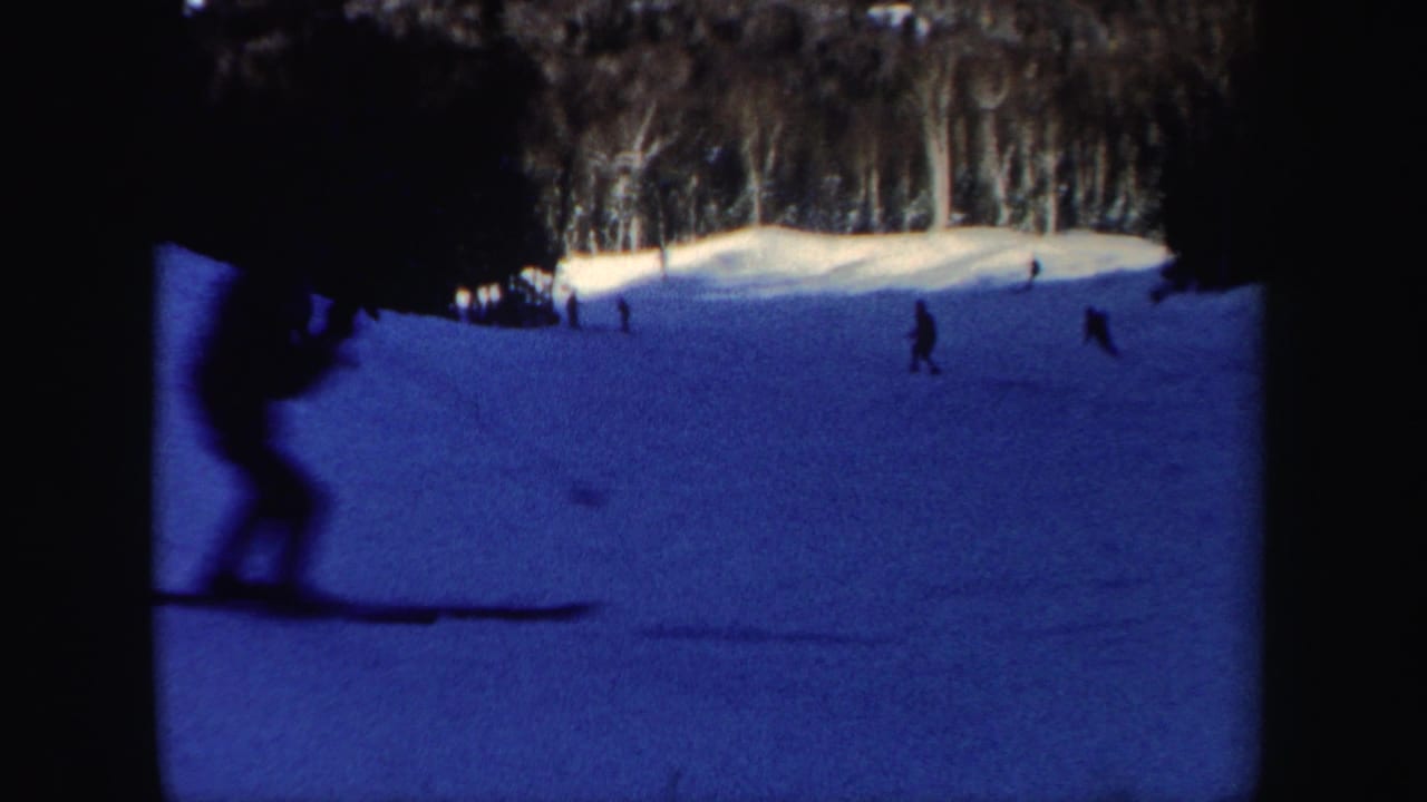 Skiers descend a snowy slope bordered by dark trees.