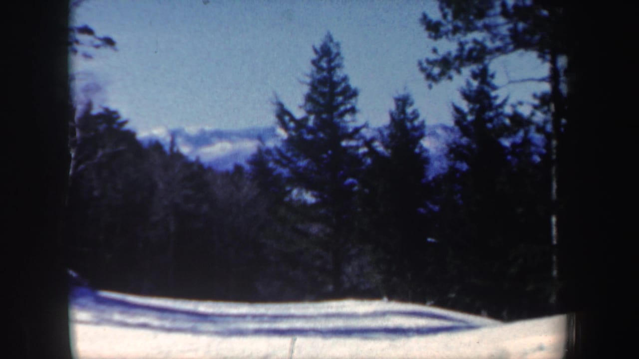 Snowy ground bordered by dark evergreen trees under a pale winter sky.