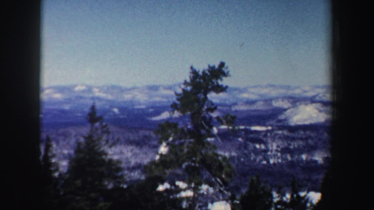 Snowy evergreen forest and distant mountain range seen through dark film borders.
