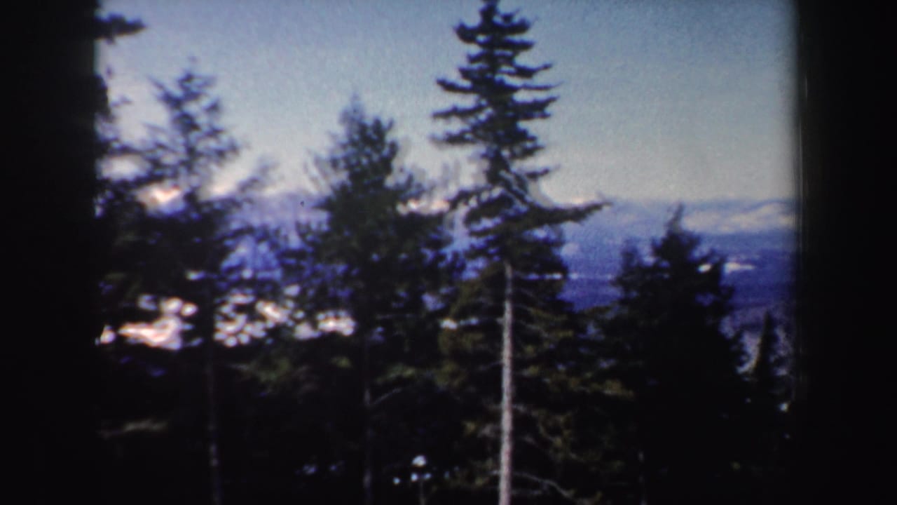 1962 New Hampshire 8mm frame of evergreen trees, bright snow patches, and distant blue-gray winter mountains.