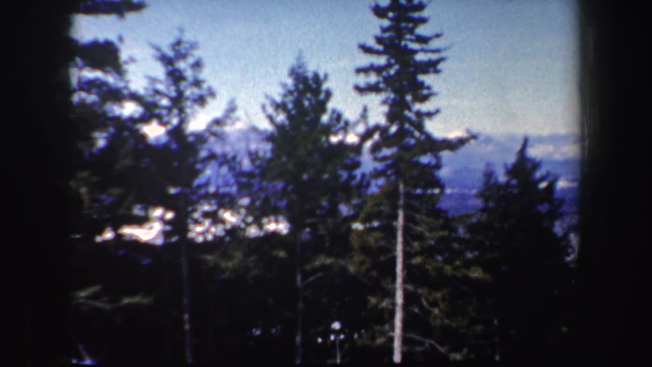 New Hampshire 1962 8mm frame showing evergreens silhouetted against distant snowy hills before the skiing action.