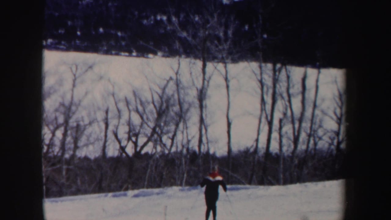 Skier appears farther right on a snowy hillside in front of bare winter trees.
