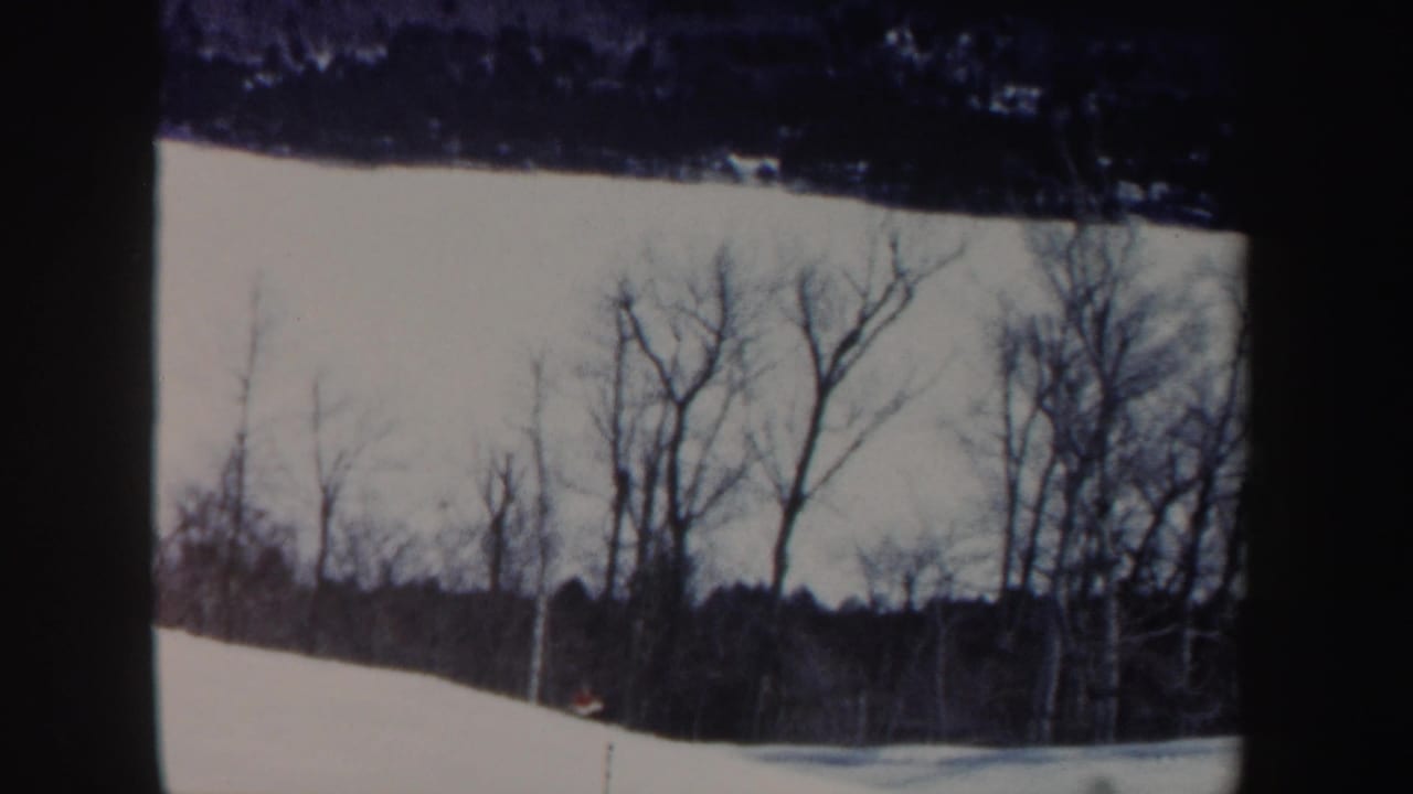 Snowy hillside with bare trees and a small distant skier near the slope.