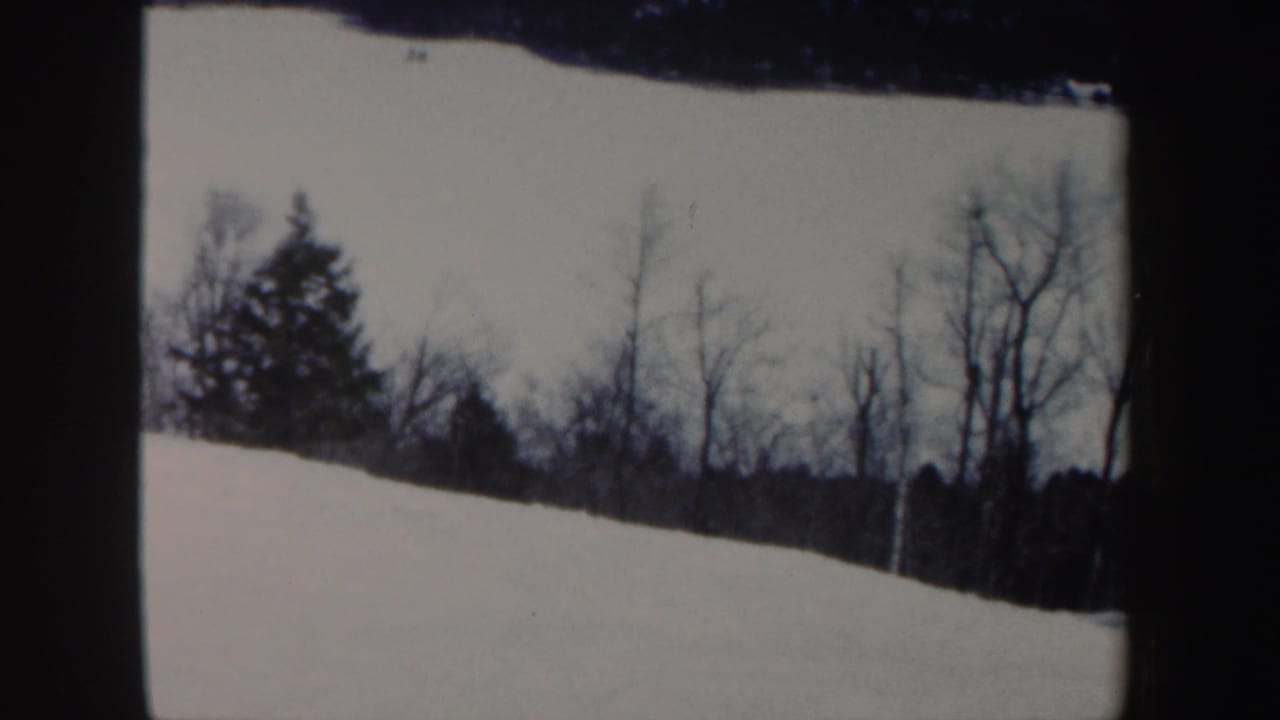 1962 New Hampshire 8mm frame showing a snowy wooded slope before the skier enters view.