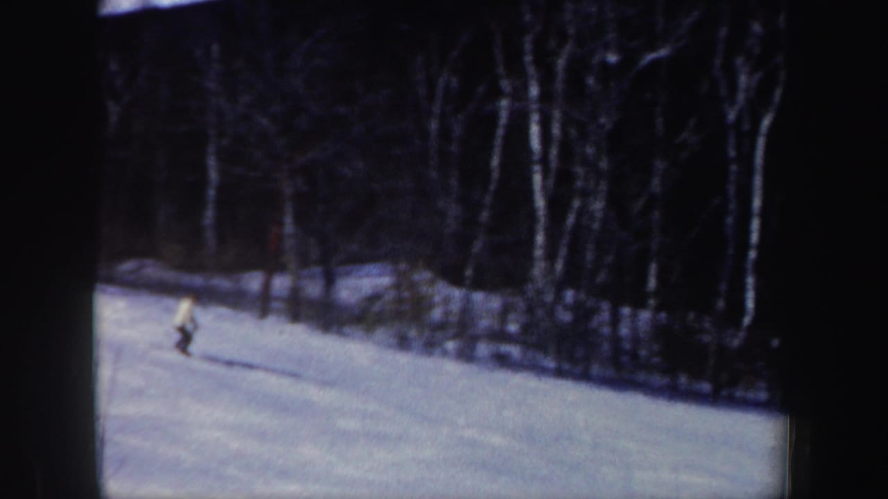 Distant skier on a snowy slope bordered by dark bare trees.