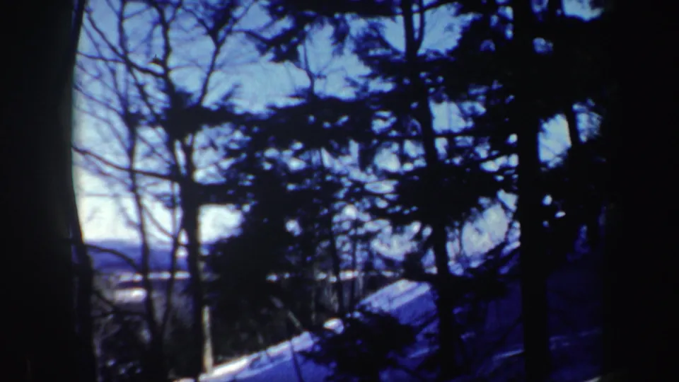 A shadowed 8mm frame looks through winter trees toward a snow-covered bank and distant New Hampshire landscape.