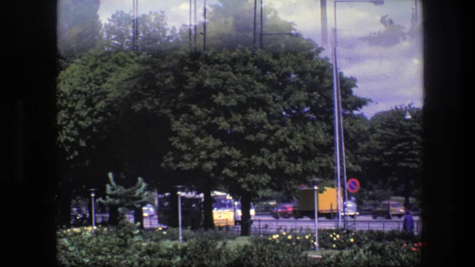 1975 Copenhagen street view from behind a window frame, with leafy trees, hedges, cars, poles, and a yellow bus in the distance.