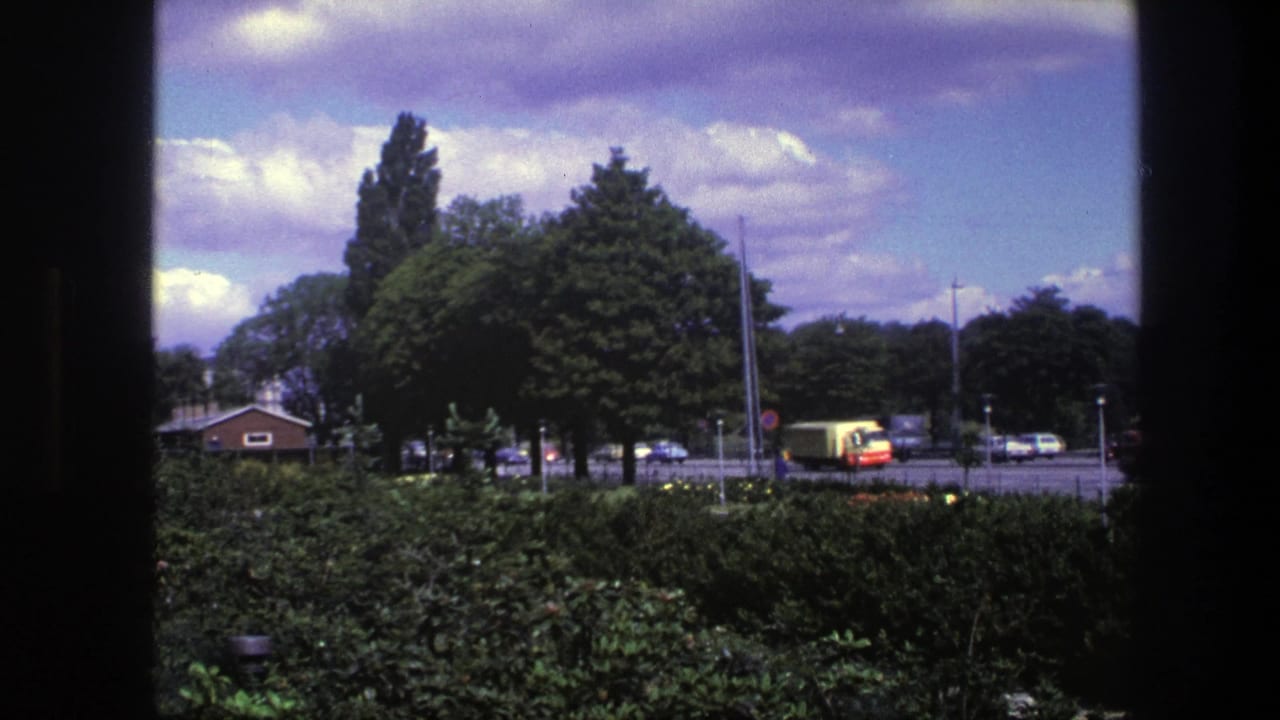 Trees and bushes in the foreground face a street with cars and a yellow truck or bus.