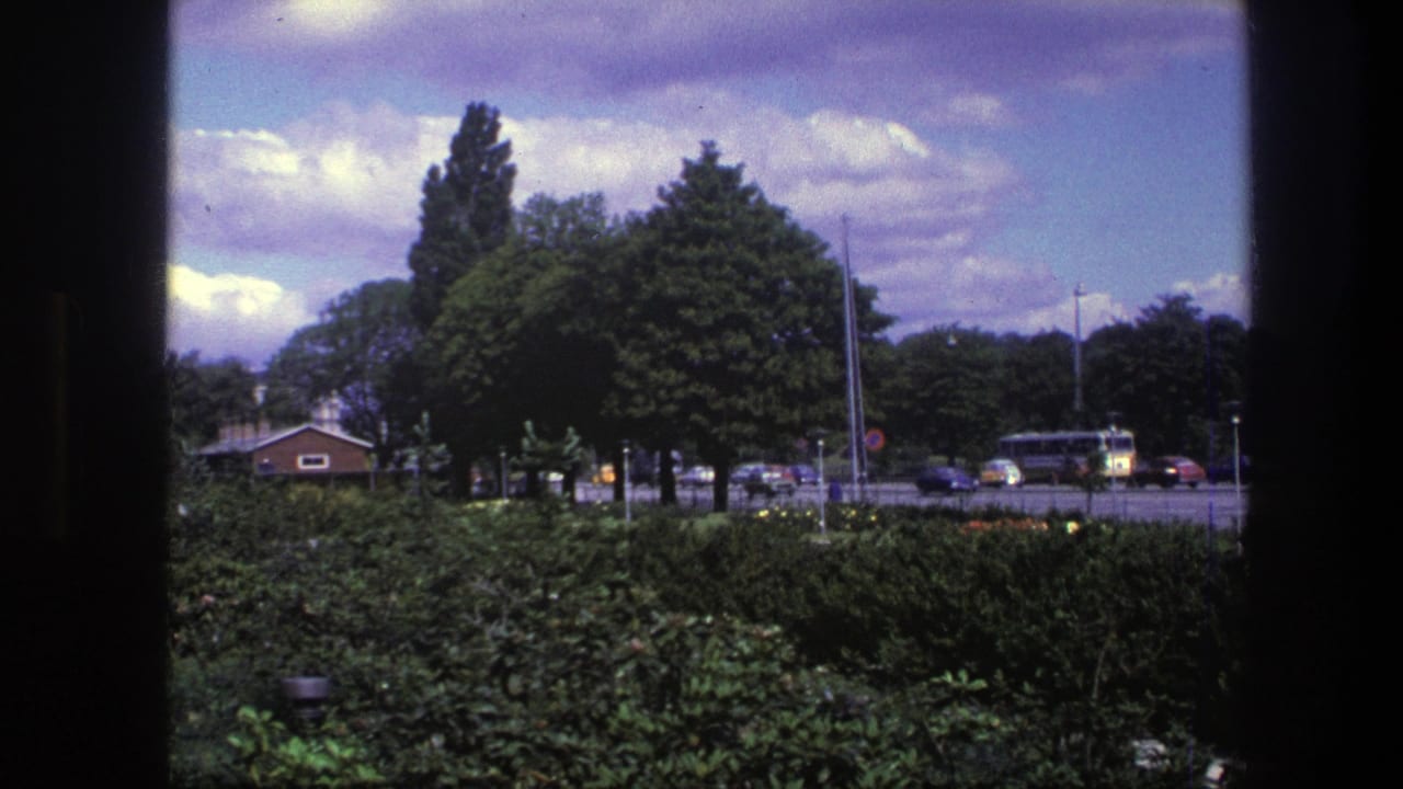 Park hedges and trees seen through dark window edges, with cars and a yellow bus on a street beyond.