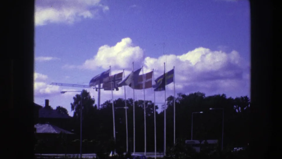 Copenhagen travel footage frame with Danish, Swedish, and other flags moving in the wind near trees and a distant crane.