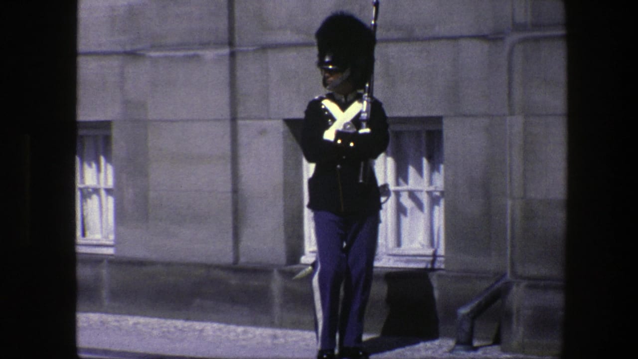Ceremonial guard stands with rifle near a stone building window.