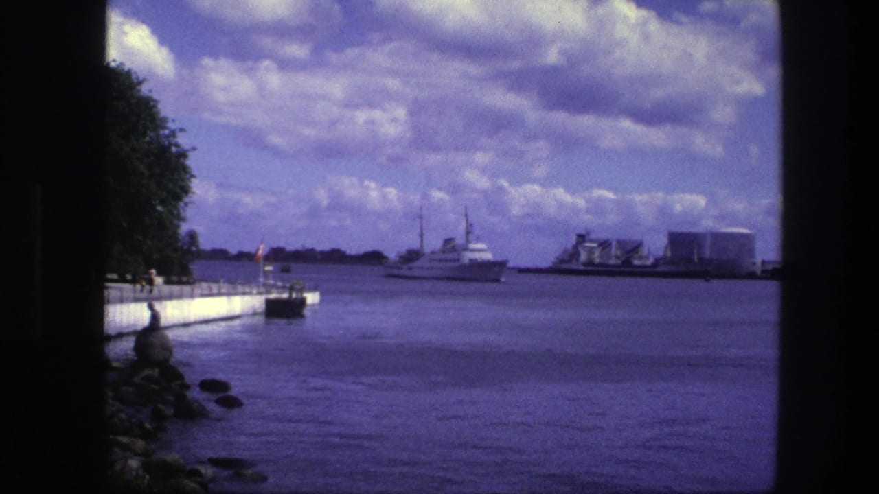 Passenger boat near the center of a harbor view with quay, trees, and industrial buildings.