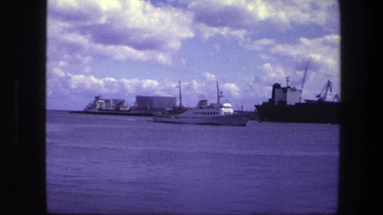White passenger ship crossing a harbor near cranes and a dark cargo vessel.