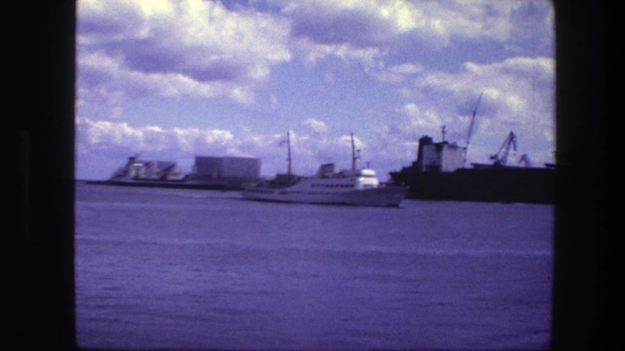 Passenger ship farther across harbor water with cranes and cargo vessel behind it.