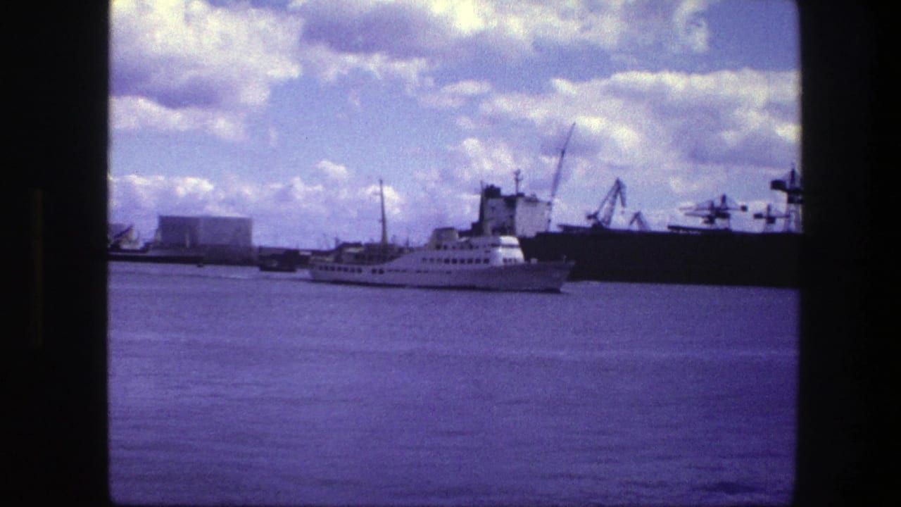 White passenger ship crossing a harbor with cranes and buildings in the background.