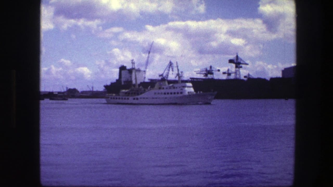 White passenger ship on harbor water with cranes and industrial buildings behind it.