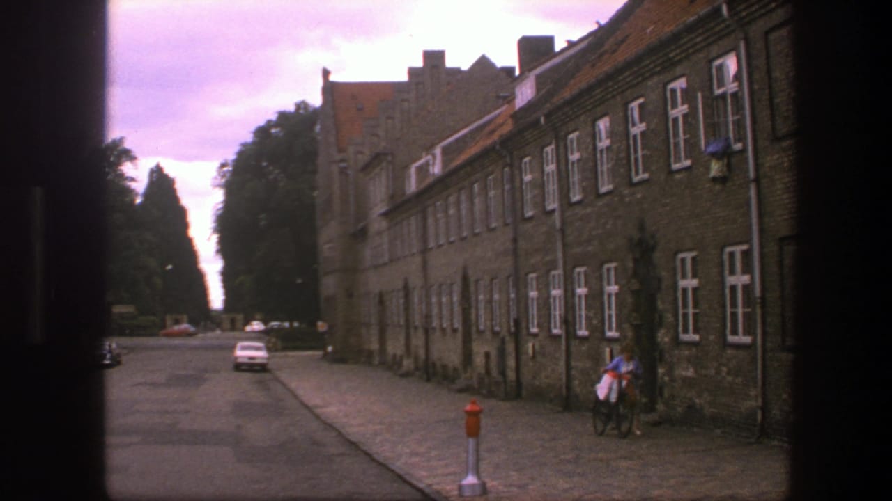 Cobblestone street beside brick buildings with cars and a cyclist near the sidewalk.