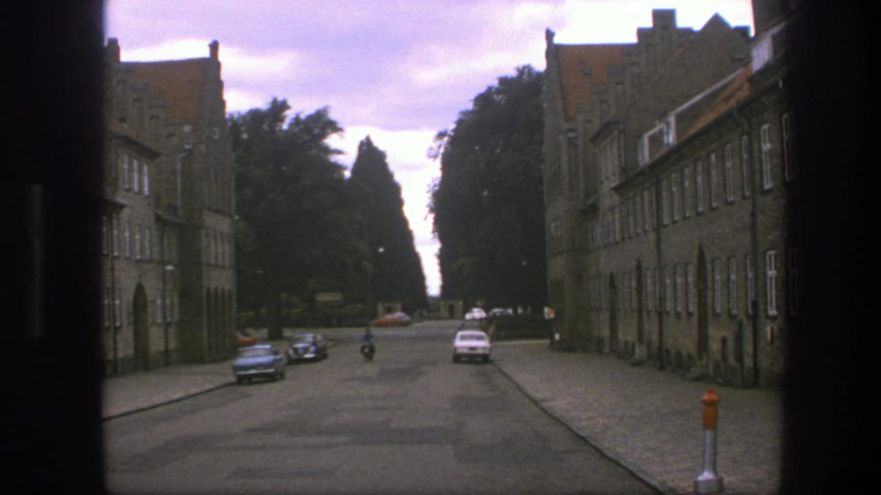 Moped rider on a cobblestone street between brick buildings and parked cars.