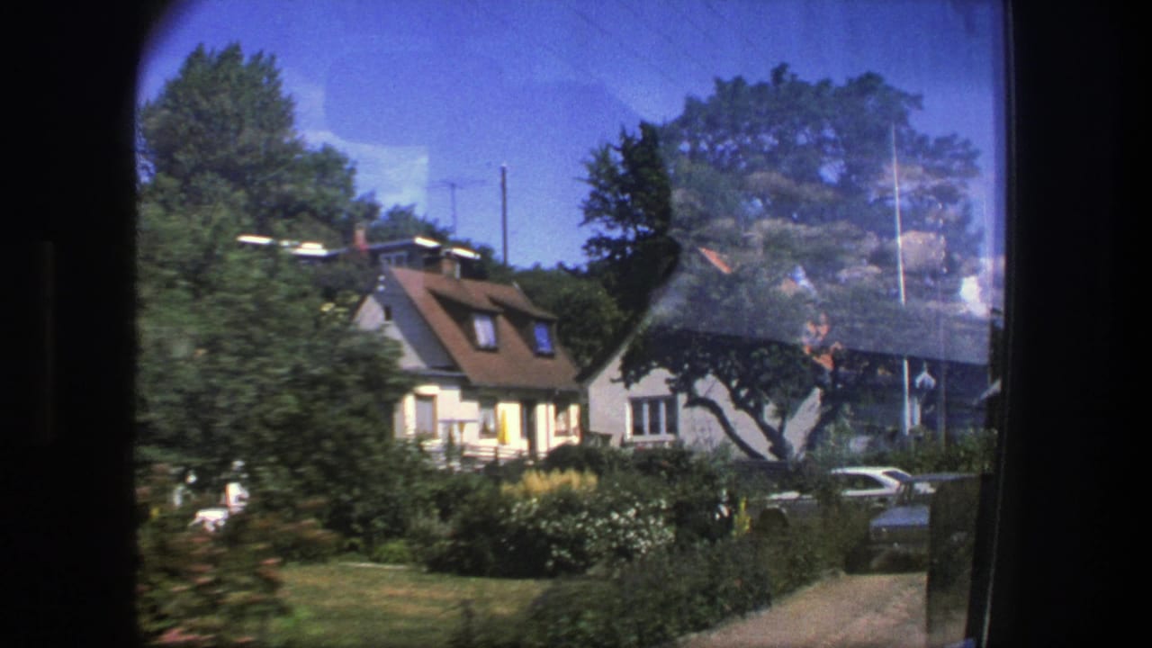 Sunlit residential houses with gardens and trees seen from across a street.