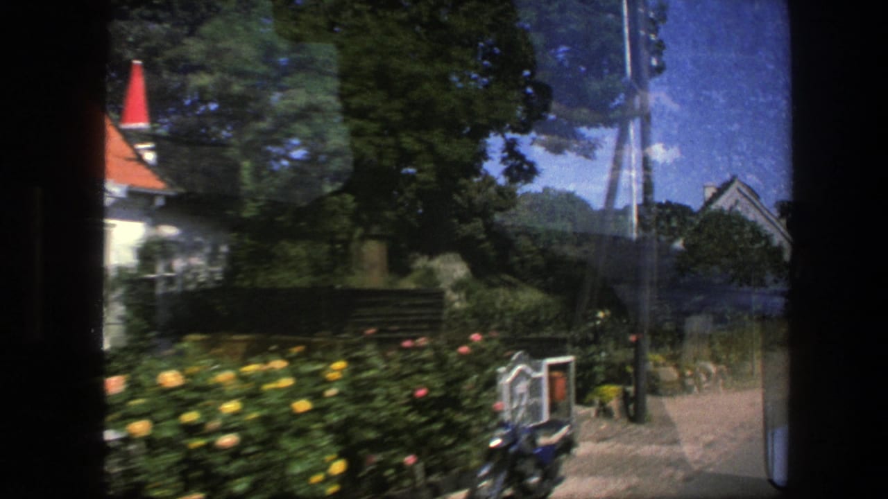 Moving view past garden flowers, trees, utility poles, and a house with a red roof.