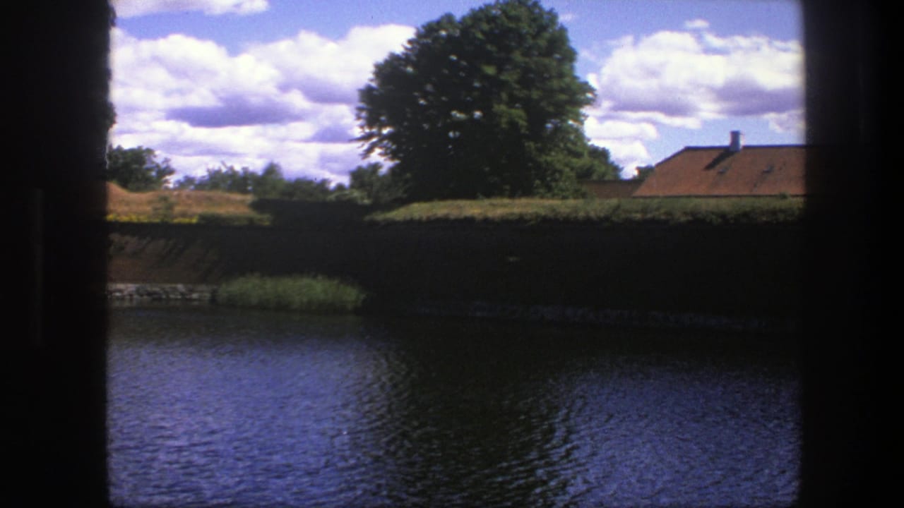 Water, dark wall, large tree, orange roof and clouds seen through a dark vertical frame.