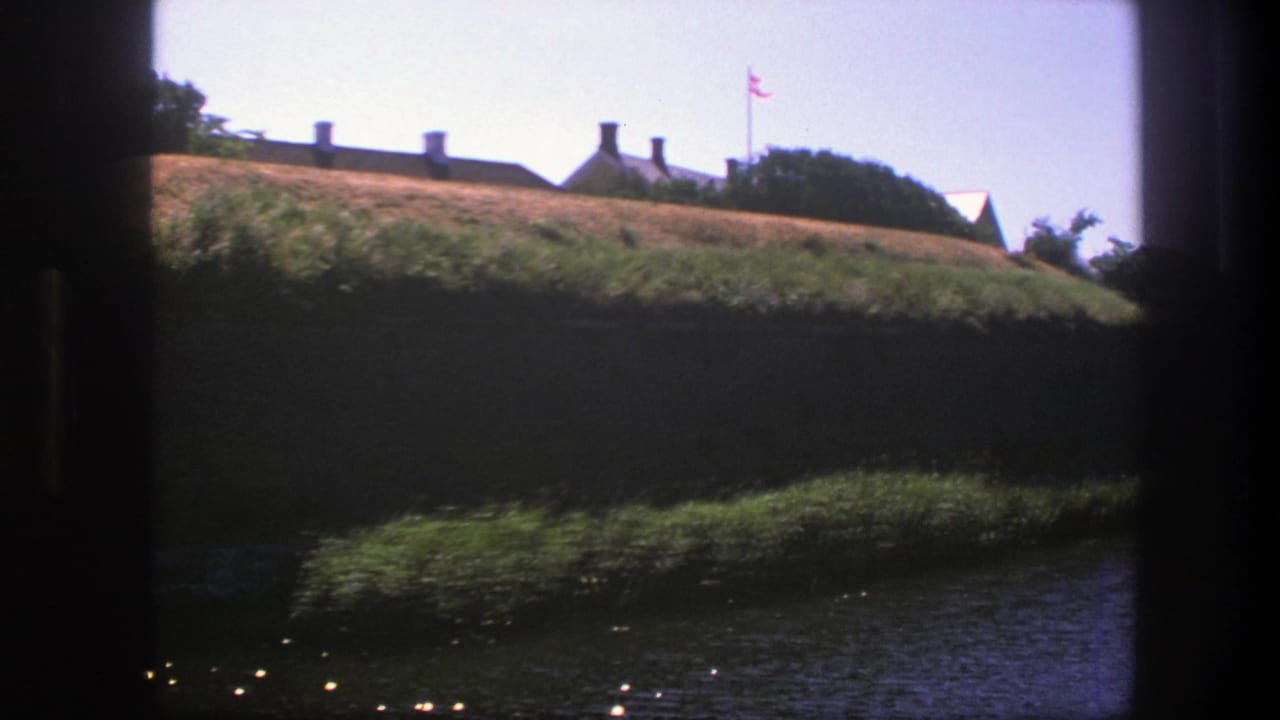 Water and grassy embankment with low buildings and a flag in the background.
