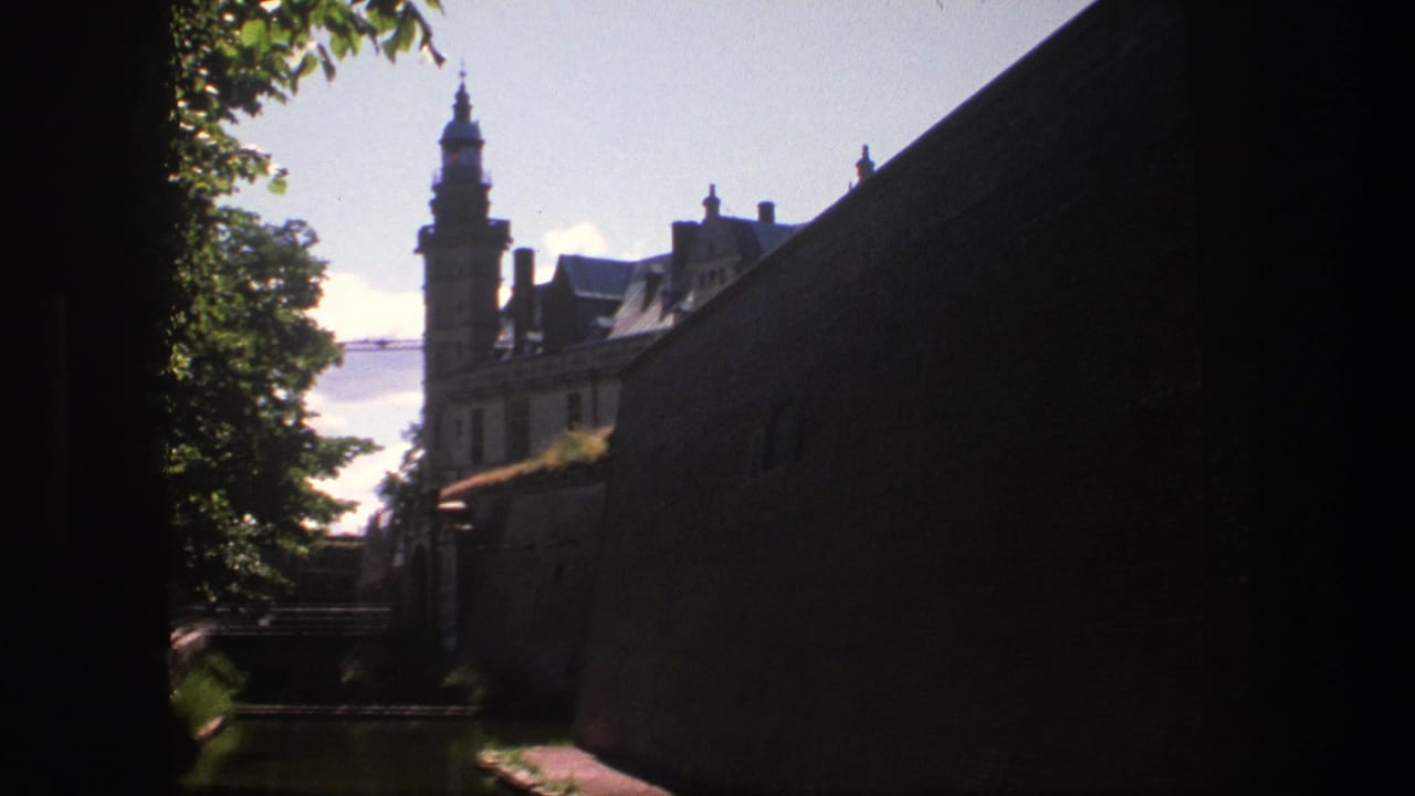 Castle tower and roofline seen past trees and a dark brick wall.