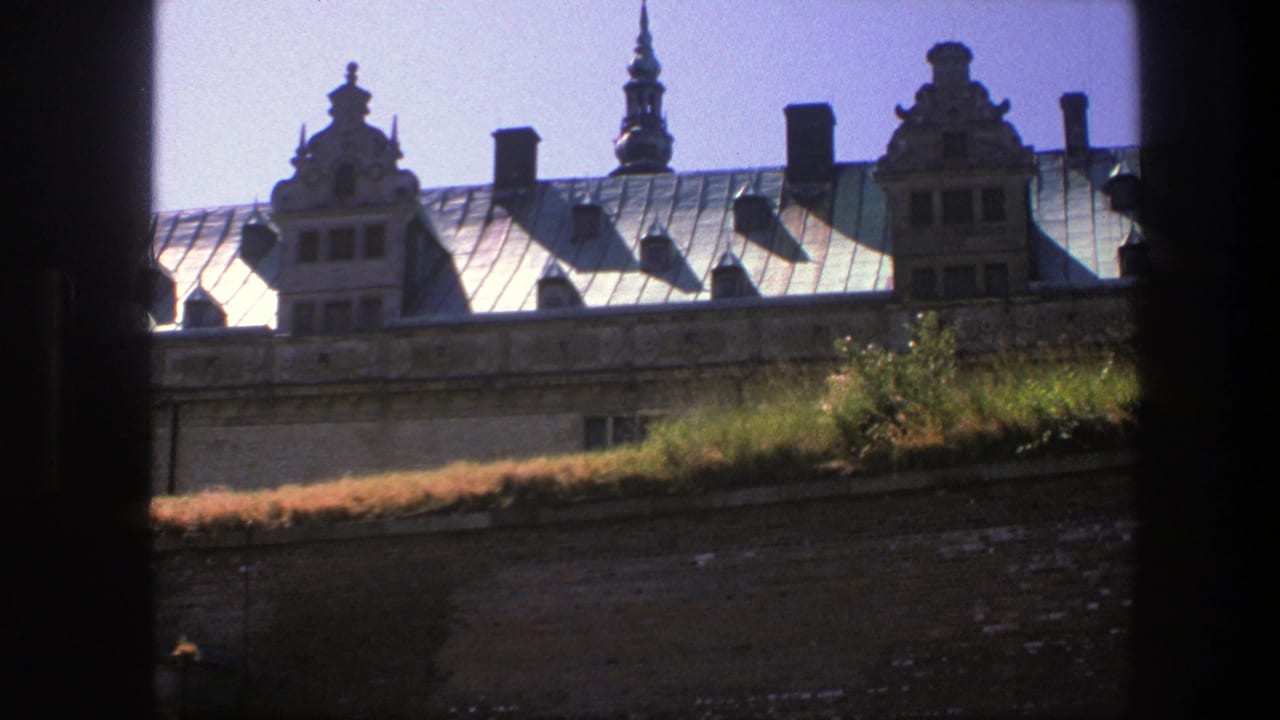 Ornate rooftop with gables, chimneys, and a metal roof seen through dark vertical edges.