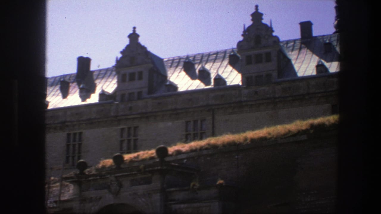 Ornate roofline and stone facade partly framed by dark vertical foreground shapes.