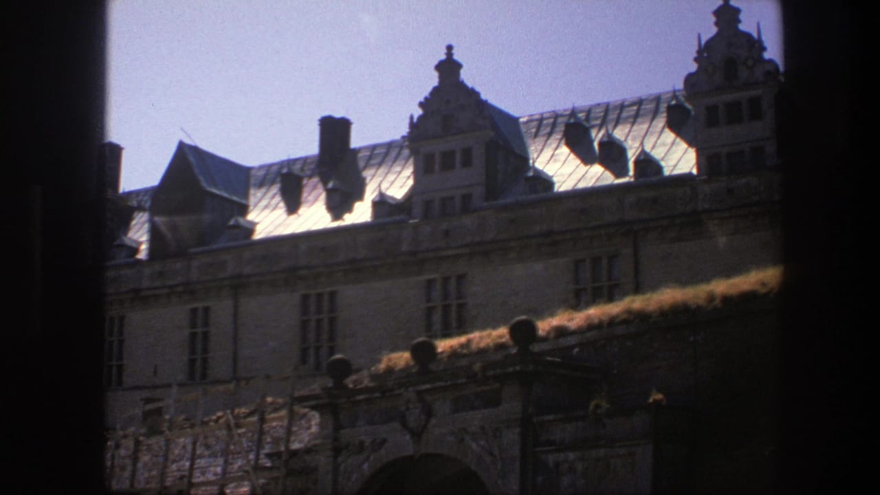 Copenhagen mansion exterior with reflective roof panels, chimneys, gables, and multi-paned windows on 8mm film.