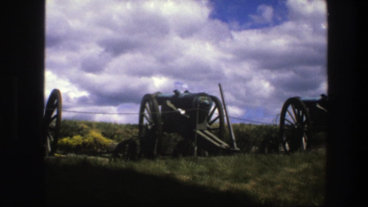 Historic cannons on wooden carriages lined up on grass under a cloudy sky.