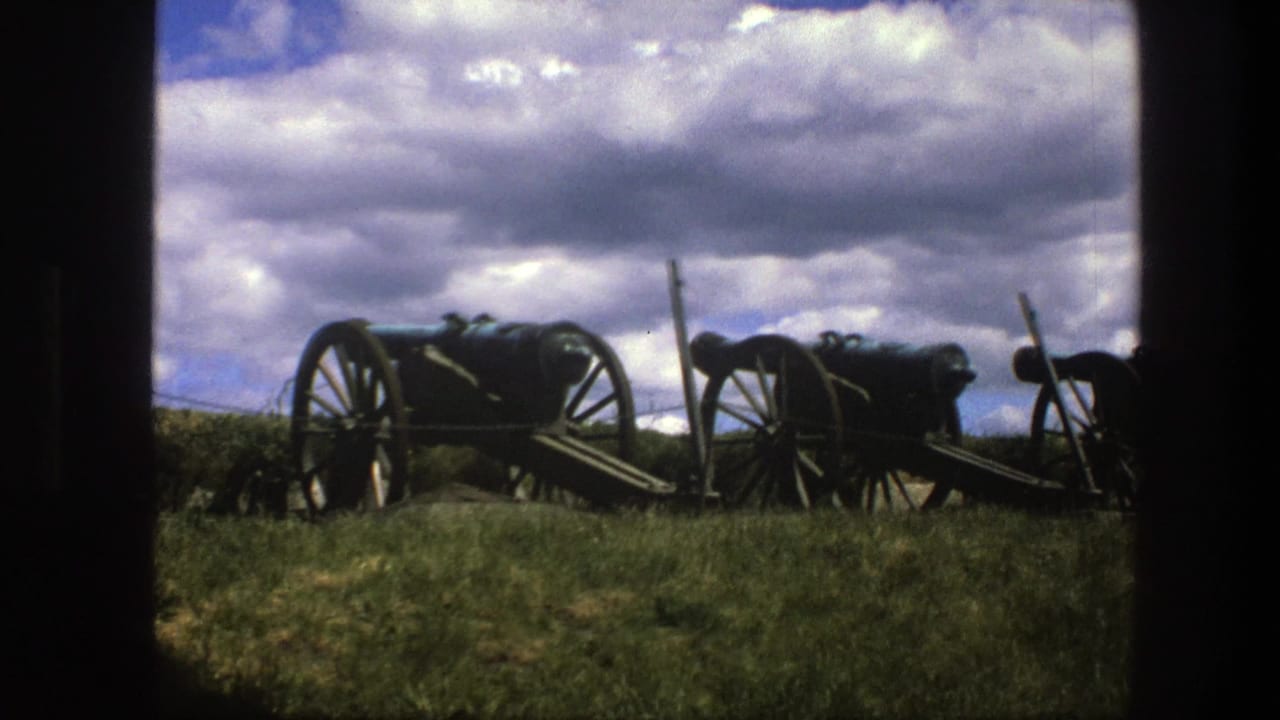 Antique cannons on wooden wheels lined up in grass beneath a cloudy sky.