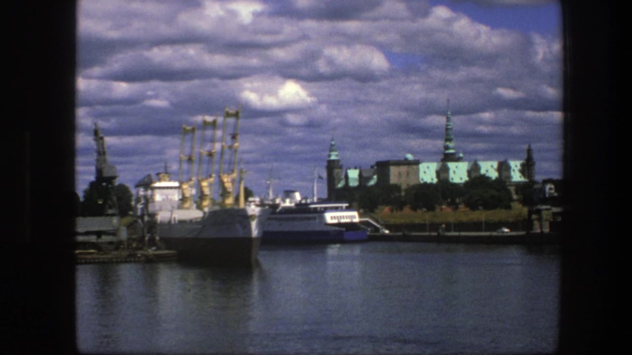 Large ships at a dock with cranes and green-roofed buildings behind them.