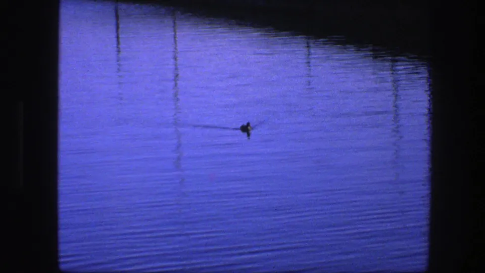 The duck continues across deep blue water, with faint vertical reflections and small-gauge film borders visible.
