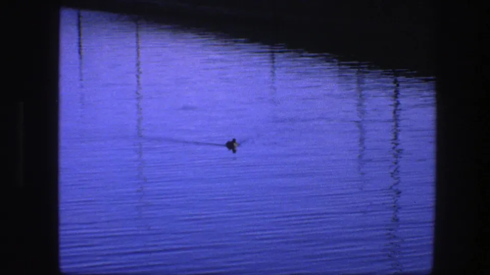 The final sampled frame shows the duck farther across the blue water, with ripples, reflections, and film-edge darkness.
