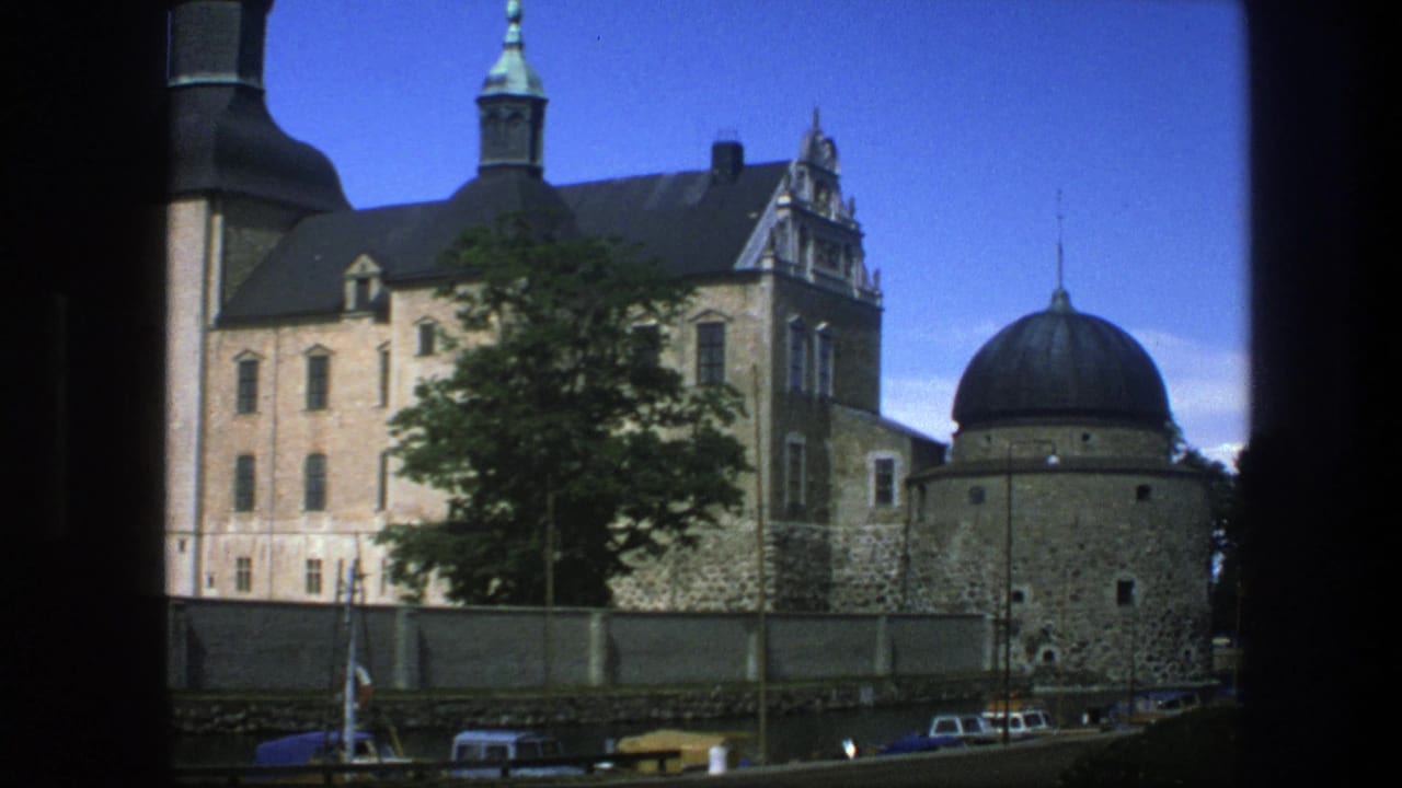 Historic castle-like building with domed roofs, spire, tree, water edge, and parked cars.