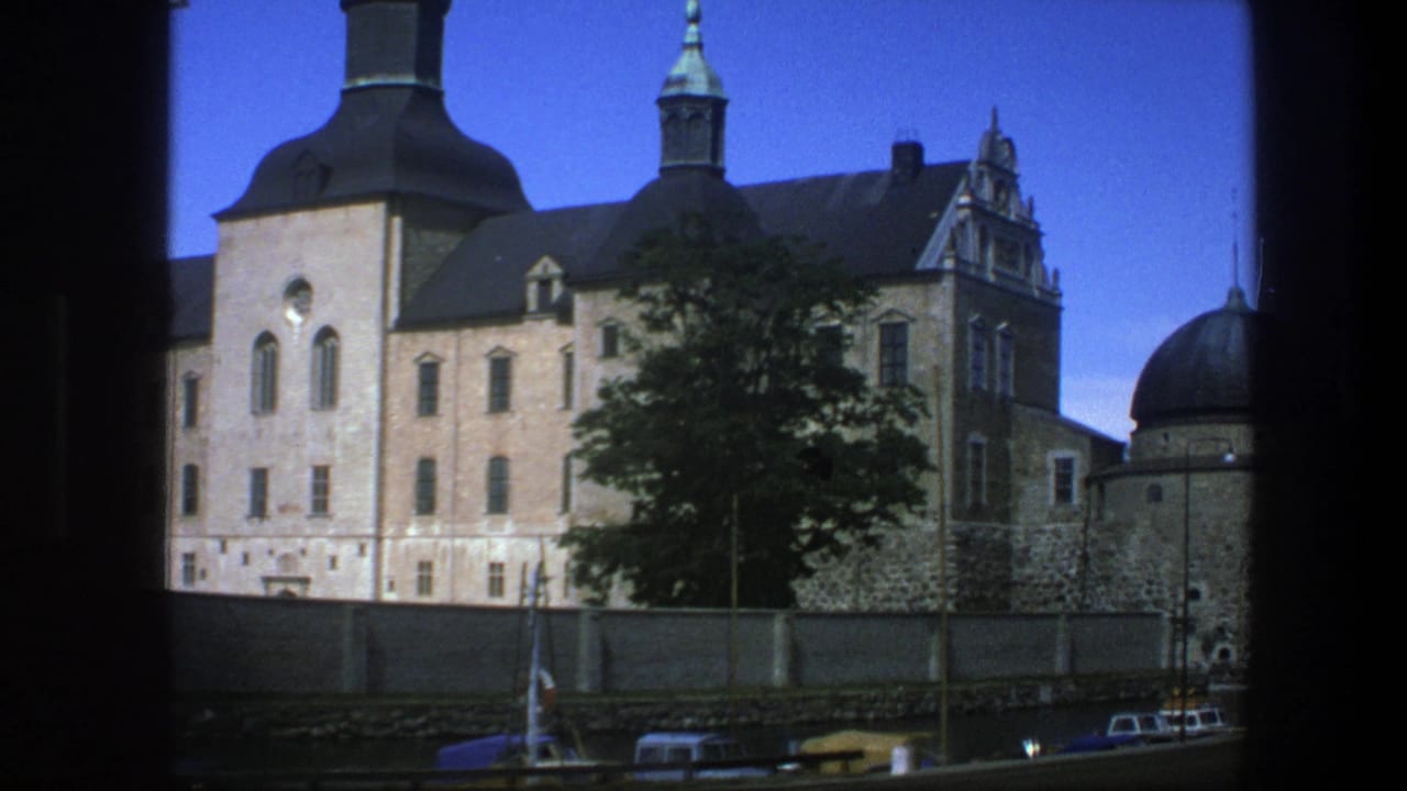 Castle-like exterior seen through a dark vertical frame, with tower, domes, tree, and cars.