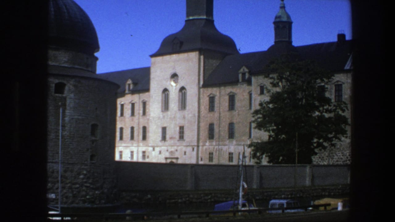 Stone building and round tower viewed across water with a tree partly covering the facade.