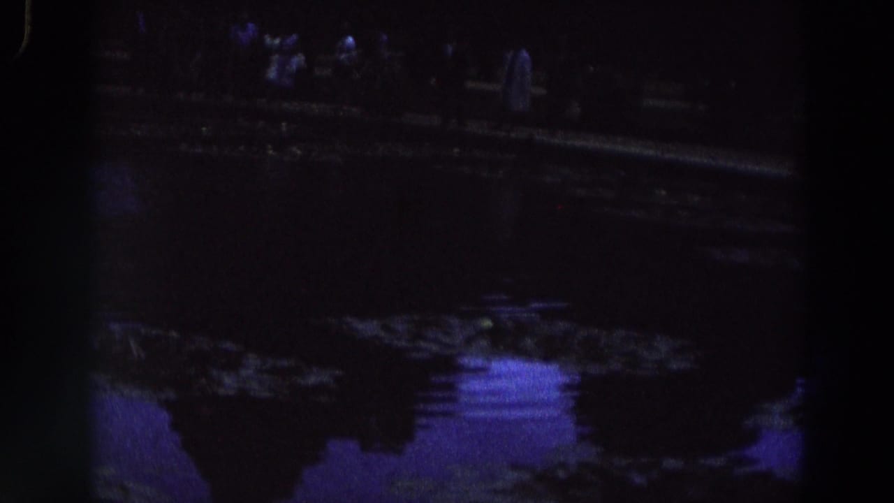 Dark pond scene with silhouetted figures along the far bank and purple-blue water reflections.